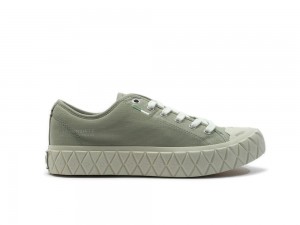 Abbey Stone Green Men Palladium PALLA ACE CANVAS Low Top Sneakers USA | KMU-617329