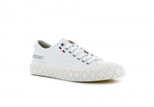 Star White Men Palladium PALLA ACE CANVAS Low Top Sneakers USA | AVS-581064