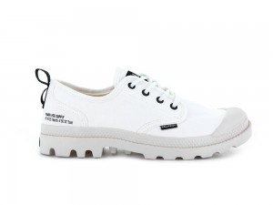 Star White Women Palladium PAMPA OX HTG SUPPLY Low Tops Shoes USA | AWP-601978