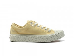 Sunshine Yellow Men Palladium PALLA ACE CANVAS Low Top Sneakers USA | CQD-643597