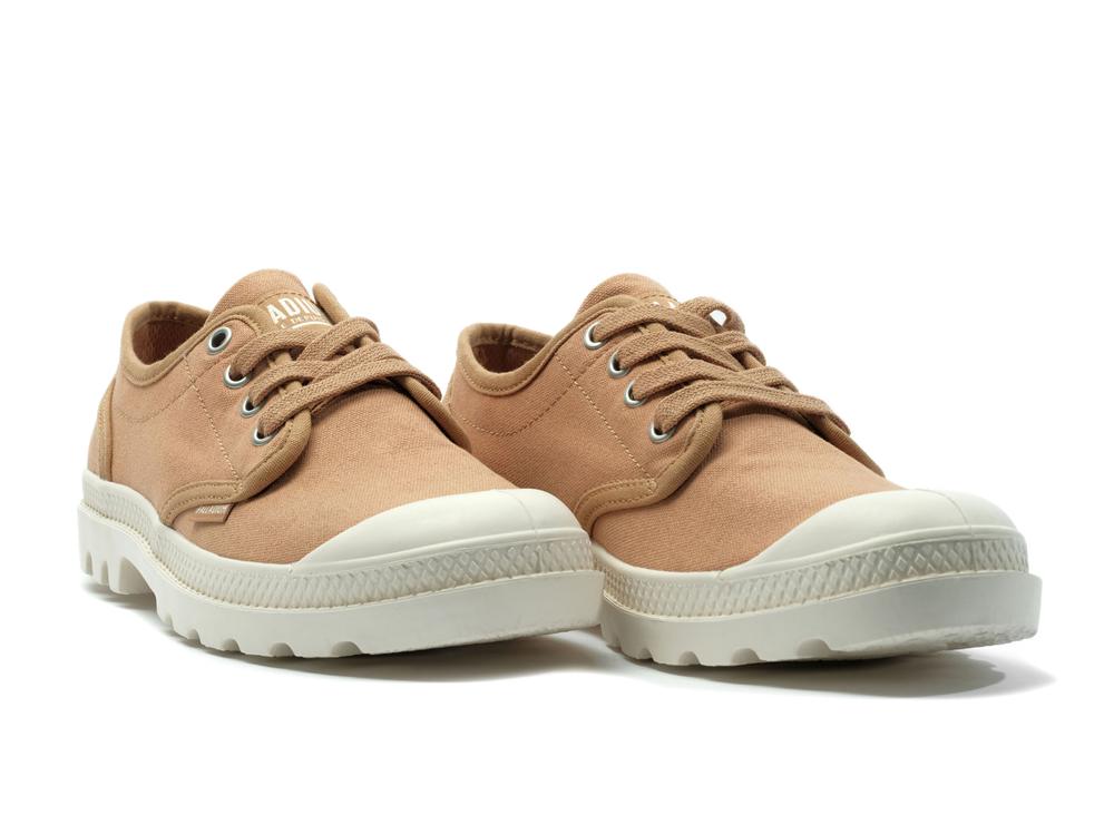 Chai Tan Brown Women Palladium PAMPA OXFORD Low Tops Shoes  USA |  JIL-461872