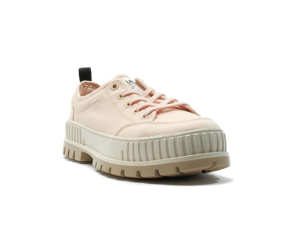 Peaskin Pink Women Palladium PALLASHOCK LO ORGANIC 2 Low Tops Sneakers  USA |  KDL-152874