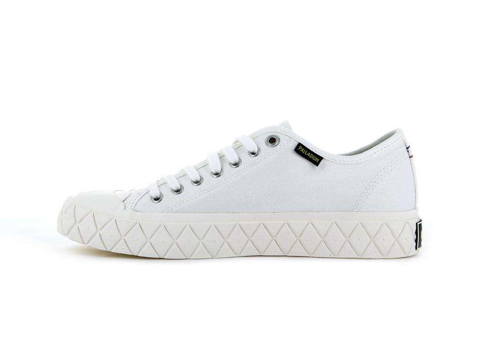 Star White Women Palladium PALLA ACE CANVAS Low Tops Shoes  USA |  OBW-284013